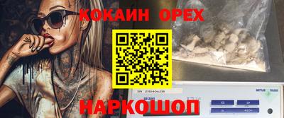 гашик Ливны