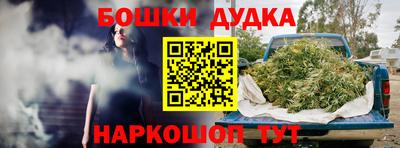 гашик Ливны
