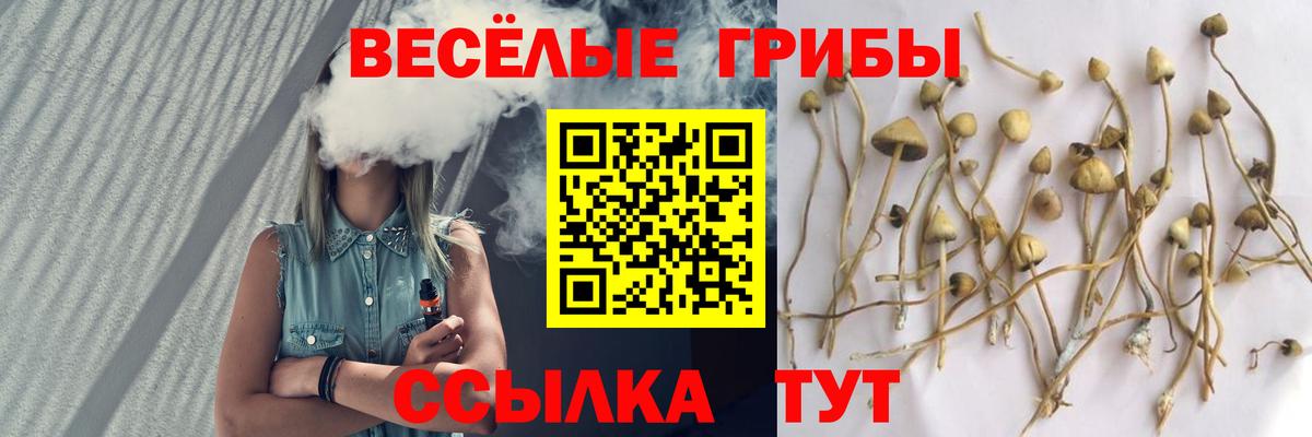 Псилоцибиновые грибы Magic Shrooms Екатеринбург