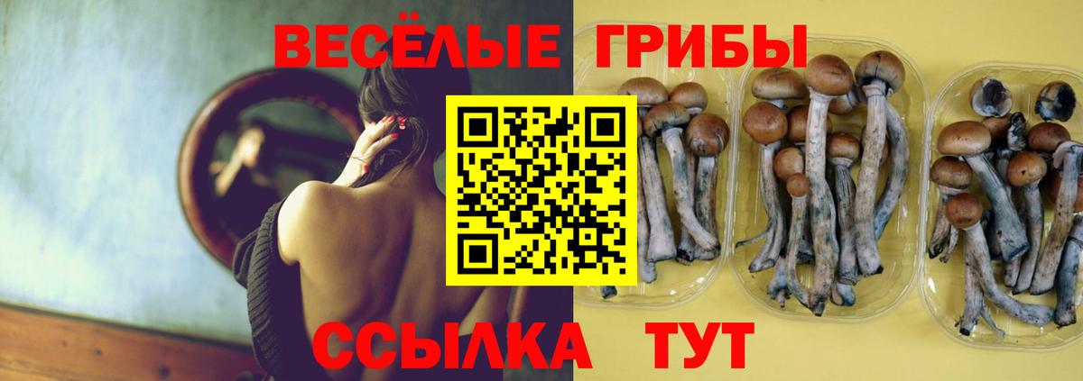 Галлюциногенные грибы Magic Shrooms  Вход с VPN  Галлюциногенные грибы GOLDEN TEACHER  где можно купить   Екатеринбург 